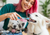 Brushing, Chews and Powders: The Complete Dog Dental Care Guide