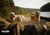 Best Freeze-Dried Raw Dog Food to Feed Based on Breed