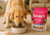 Golden retriever eating Smack Pet Foods Dehydrated Dog Food