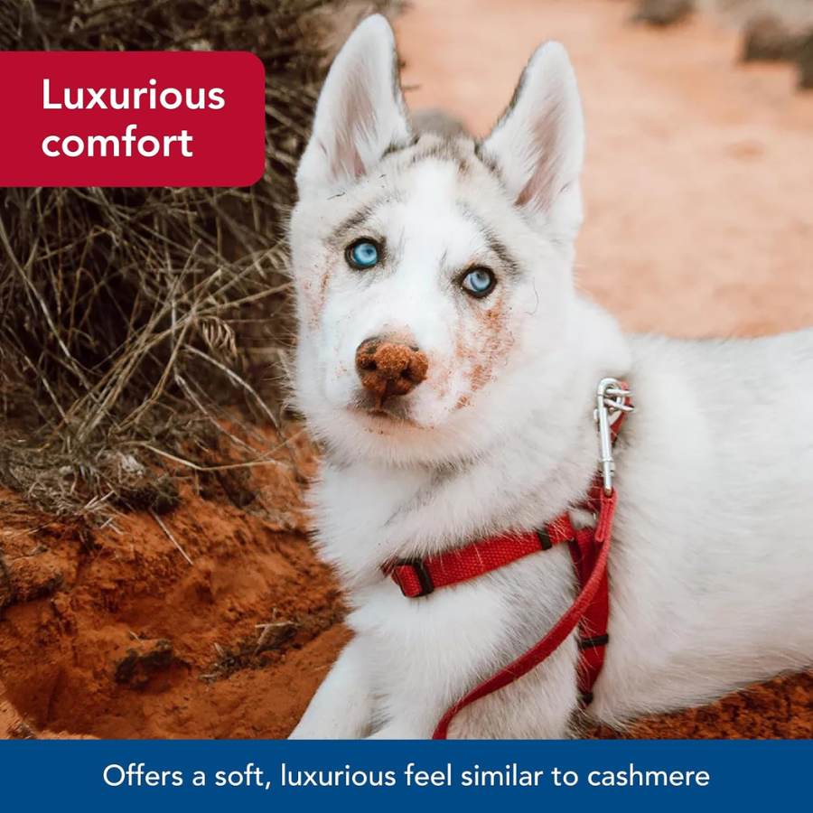 Coastal Comfort Wrap Adjustable Harness Red