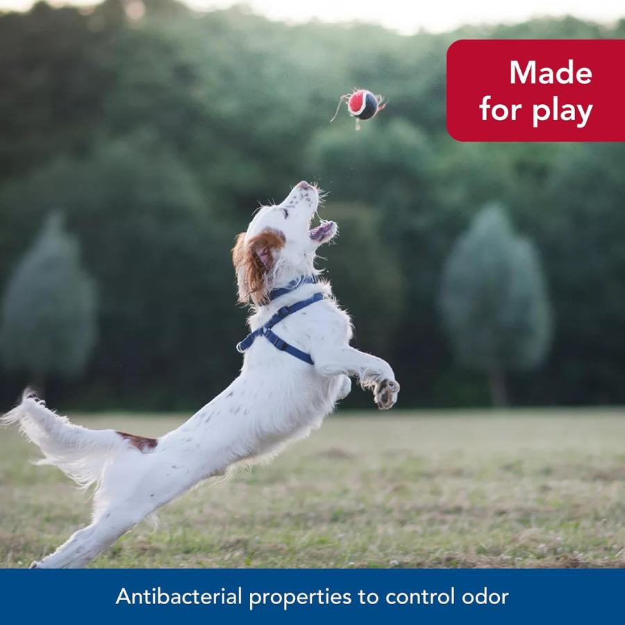 Coastal Comfort Wrap Adjustable Harness Red