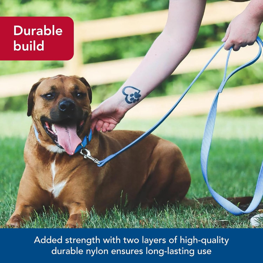 Coastal Nylon Lead Black 1" Width