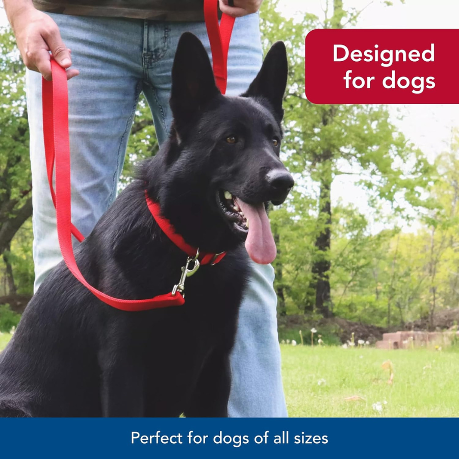 Coastal Nylon Lead Black 1" Width