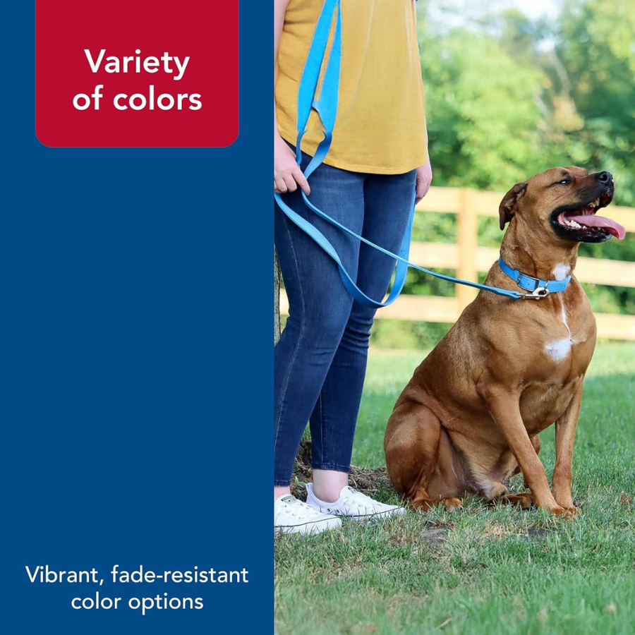 Coastal Nylon Lead Black 1" Width