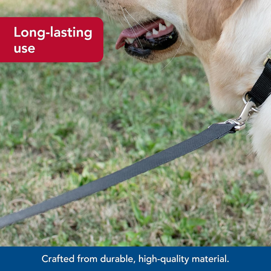 Coastal Nylon Lead - Black