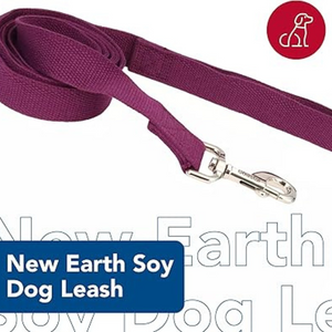 Coastal Soy Lead Eggplant