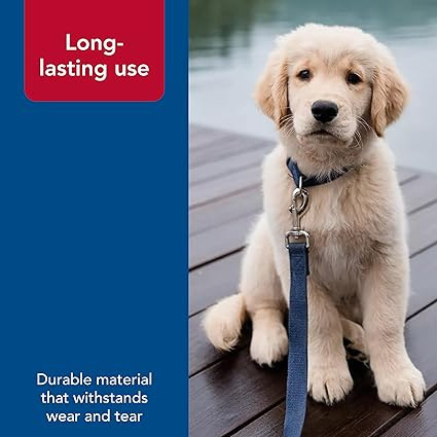 Coastal Soy Lead Eggplant