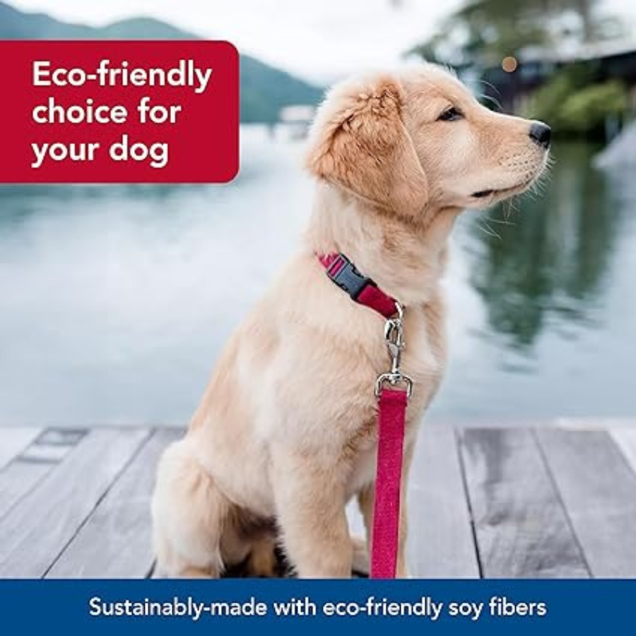 Coastal Soy Lead Eggplant