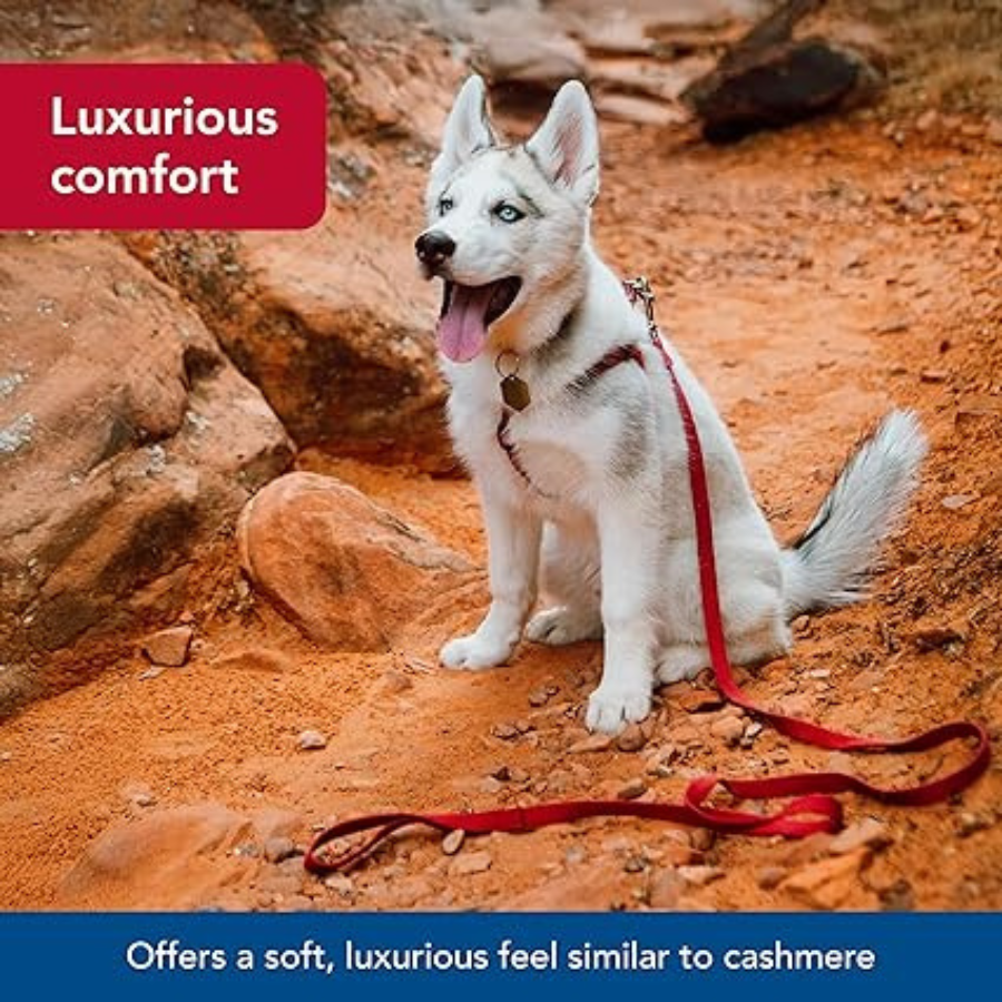 Coastal Soy Lead Eggplant