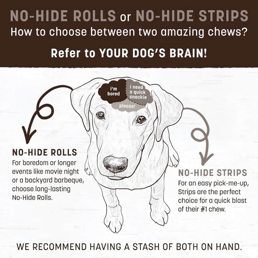 Earth Animal No-Hide Salmon Chew - Small (2 Pack)