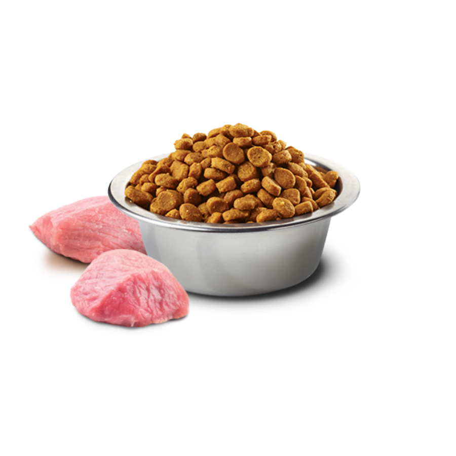 Farmina N and D Pumpkin, Lamb and Blueberry - Medium and Maxi Dogs