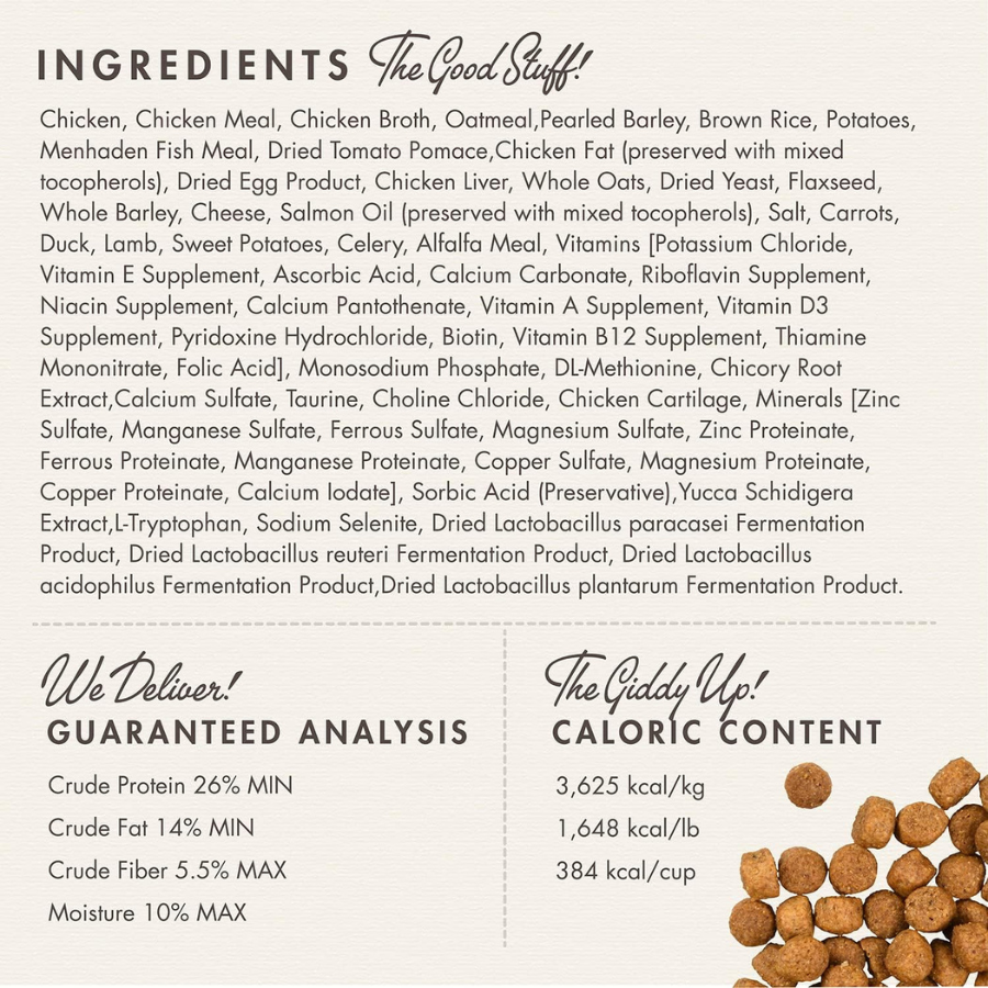 Fromm Family Gold Large Breed Puppy