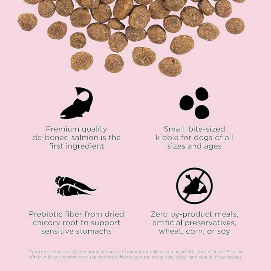 Go! Solutions Sensitivities - Salmon Small Bites