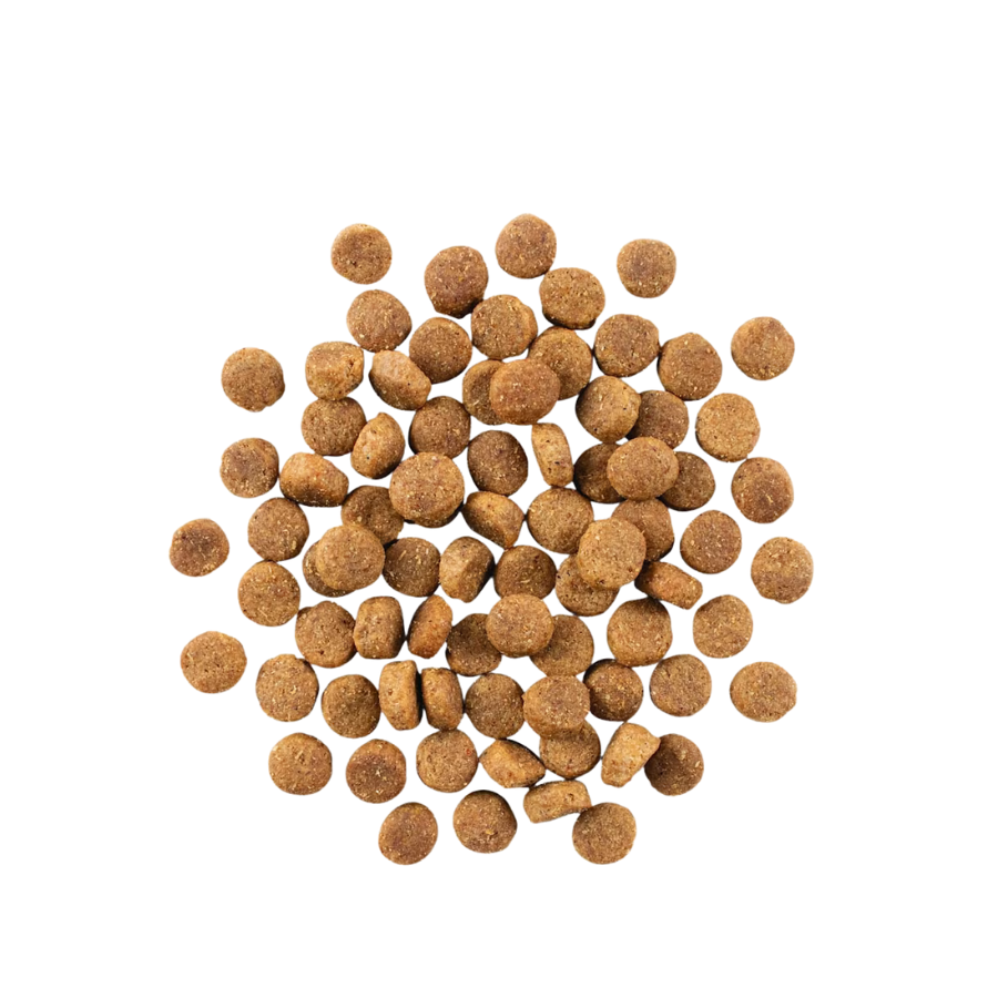 Go! Solutions Skin and Coat Duck - 22 lbs