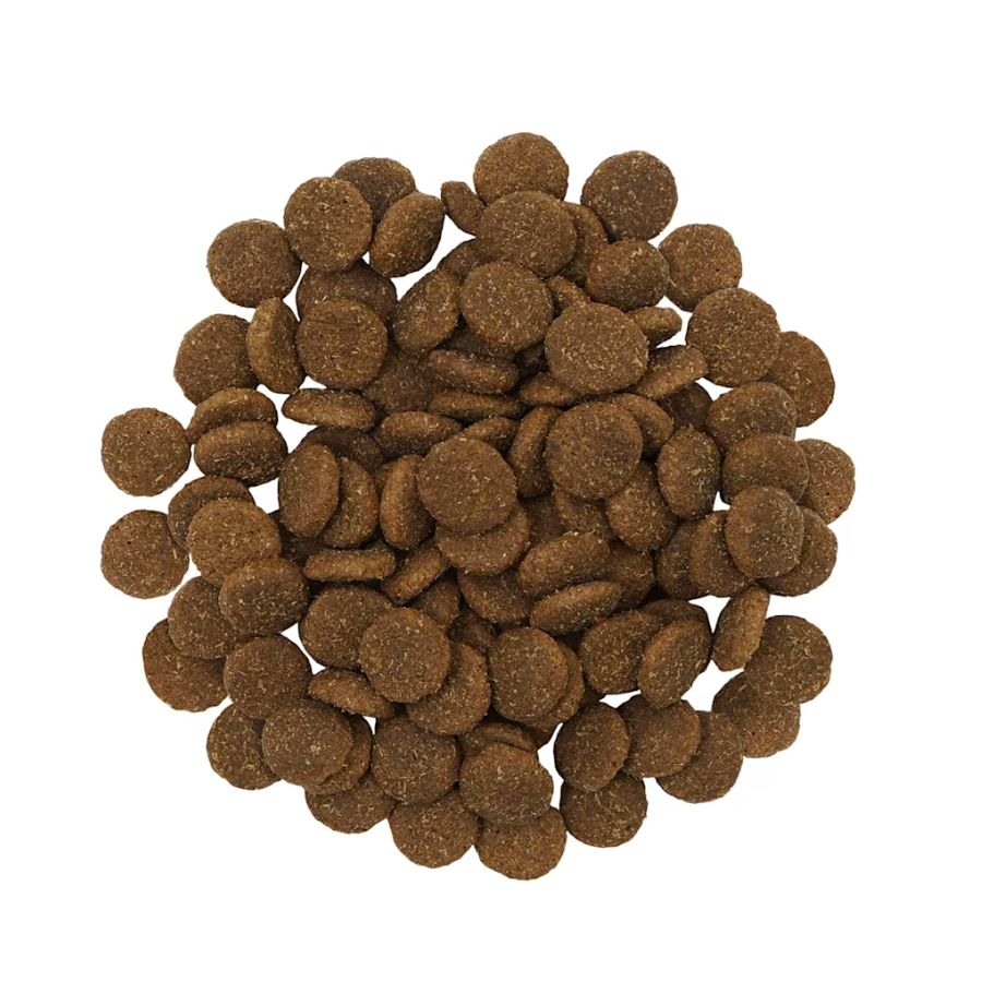 Go! Solutions Skin and Coat Large Breed Salmon Adult Dog Food