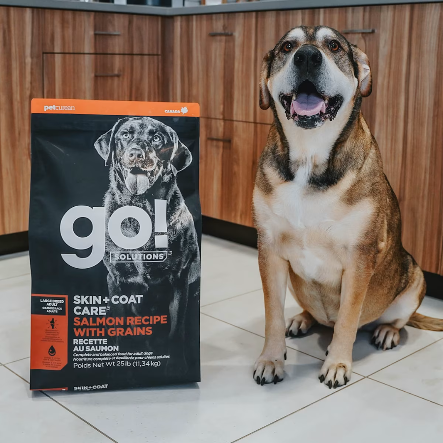 Go! Solutions Skin and Coat Large Breed Salmon Adult Dog Food
