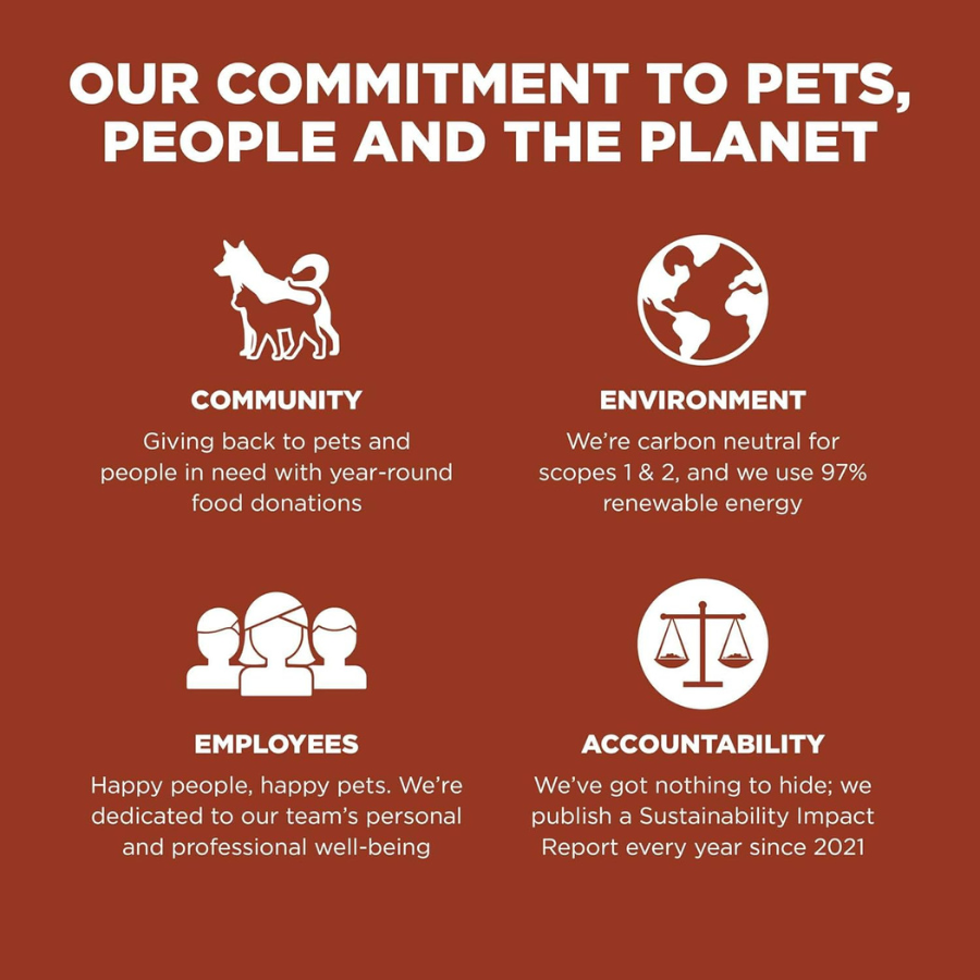 Go! Solutions Skin and Coat Large Breed Salmon Adult Dog Food