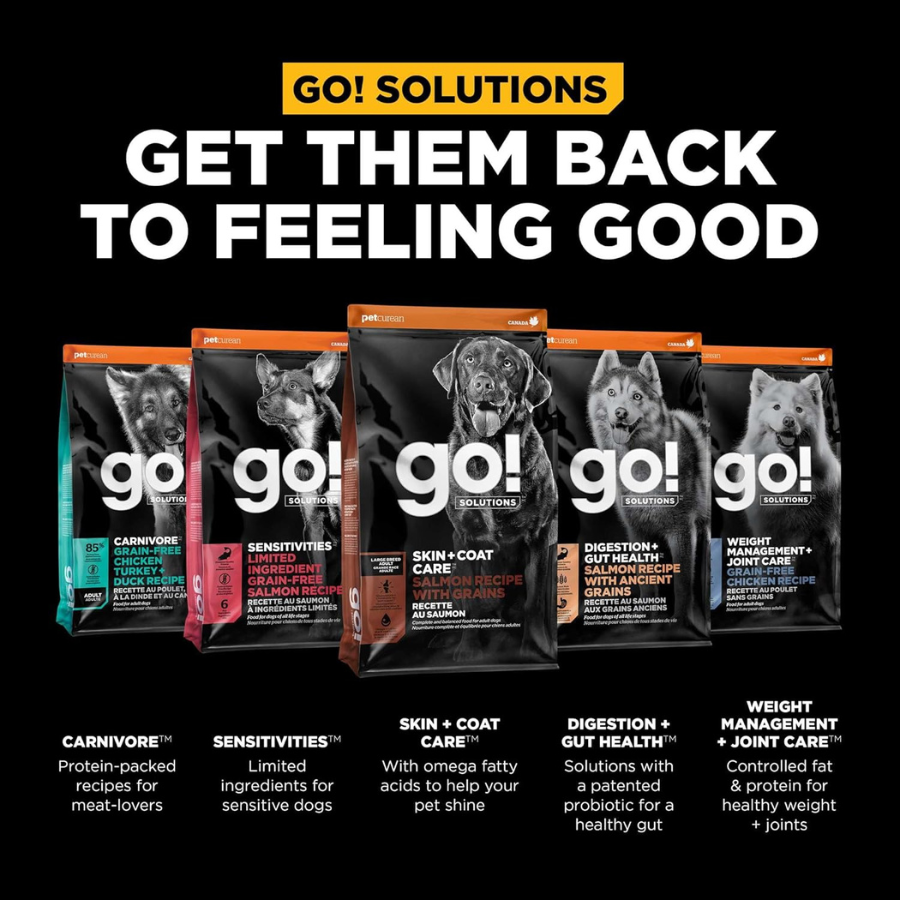 Go! Solutions Skin and Coat Large Breed Salmon Adult Dog Food
