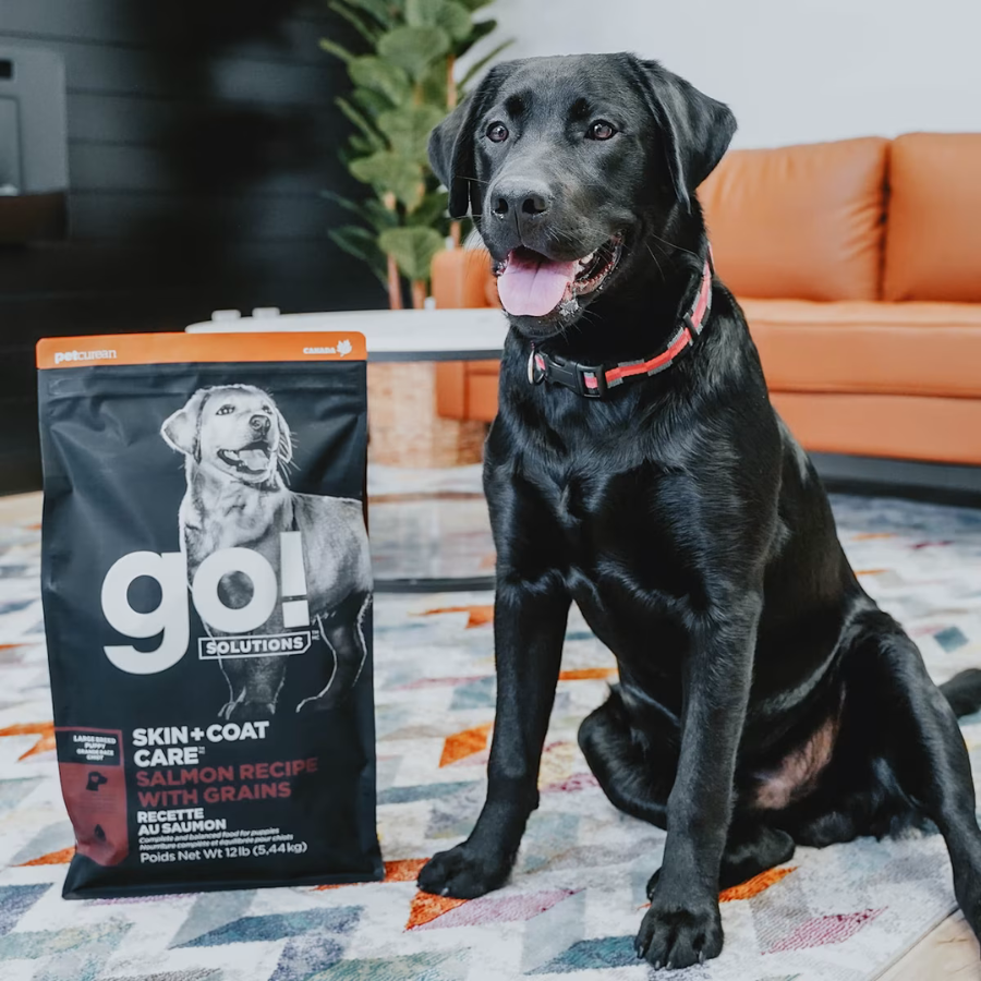 Go! Solutions Skin and Coat Large Breed Salmon Puppy Food