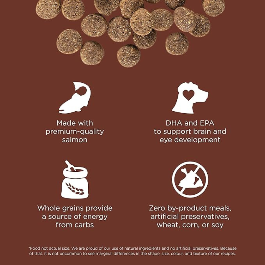 Go! Solutions Skin and Coat Large Breed Salmon Puppy Food