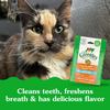 Greenies Oven Roasted Chicken Flavour Dental Treats - 2.1 oz