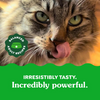 Greenies Oven Roasted Chicken Flavour Dental Treats - 2.1 oz