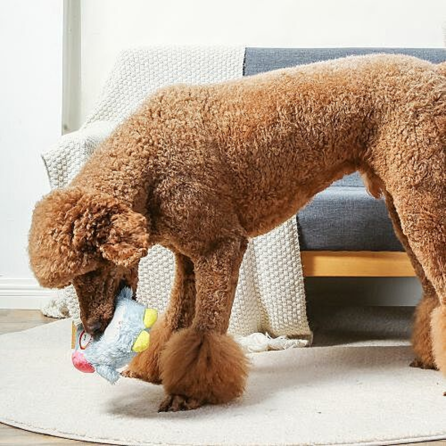 Hugsmart Sleepy Owl Toy with Rope