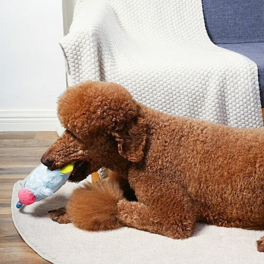 Hugsmart Sleepy Owl Toy with Rope