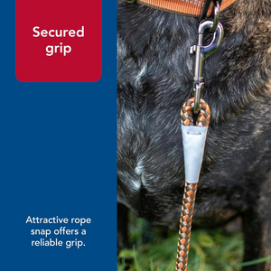 K9 Explorer Reflective Woven Lead - Meadow