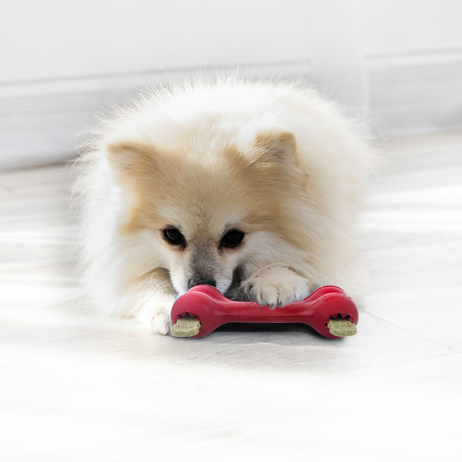 KONG Goodie Bone Classic