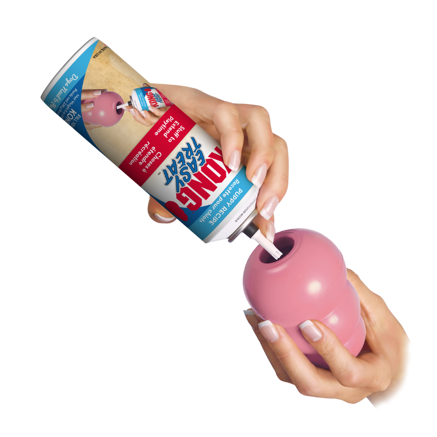 KONG Puppy Easy Treat