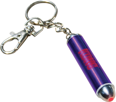 KONG Laser Toy