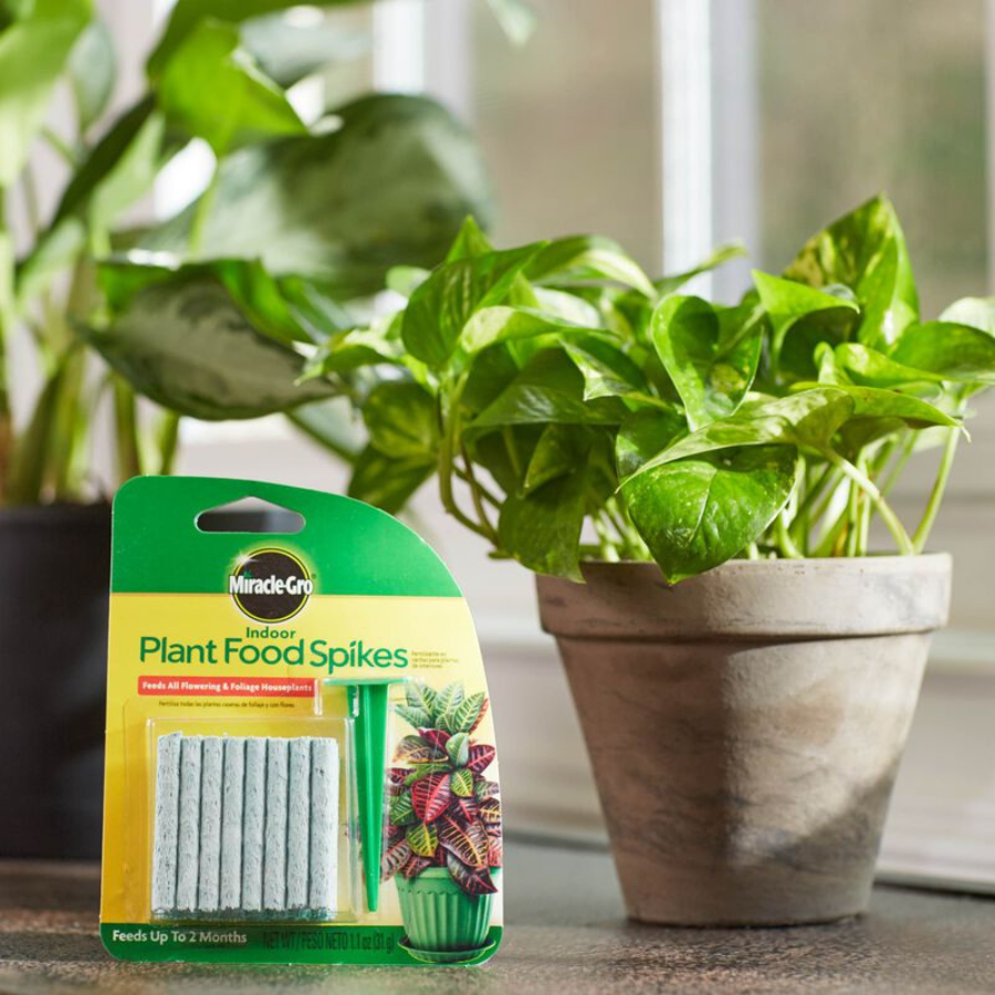 Miracle-Gro Indoor Plant Food Spikes 6-12-6