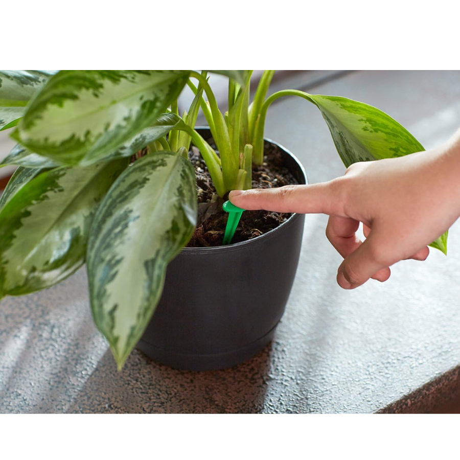 Miracle-Gro Indoor Plant Food Spikes 6-12-6