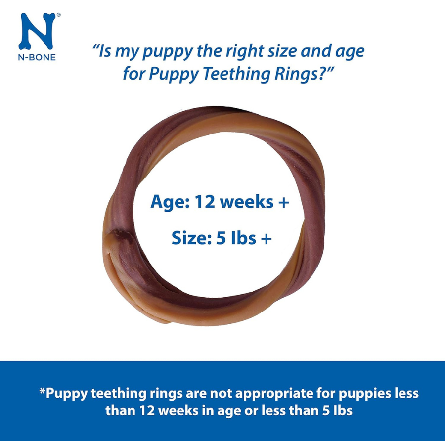 N-Bone Puppy Teething Ring Pumpkin Flavour - 6 Pack