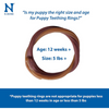 N-Bone Puppy Teething Ring Pumpkin Flavour - 6 Pack