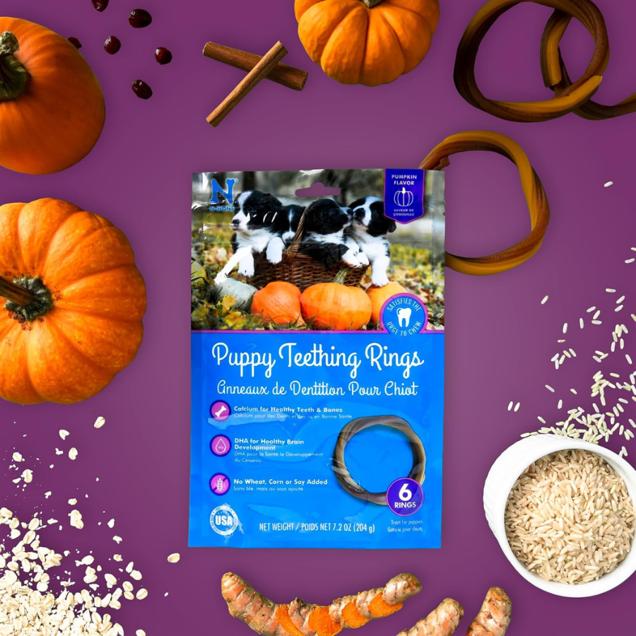N-Bone Puppy Teething Ring Pumpkin Flavour - 6 Pack