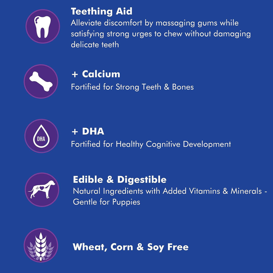 N-Bone Puppy Teething Ring Pumpkin Flavour - 6 Pack