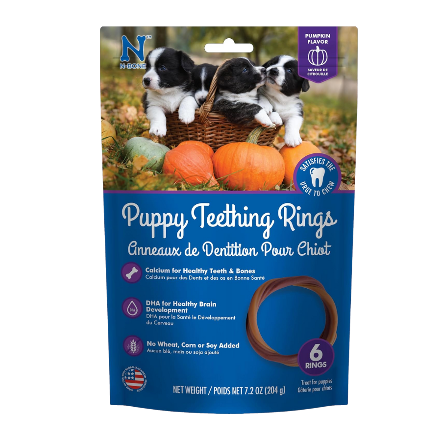 N-Bone Puppy Teething Ring Pumpkin Flavour - 6 Pack