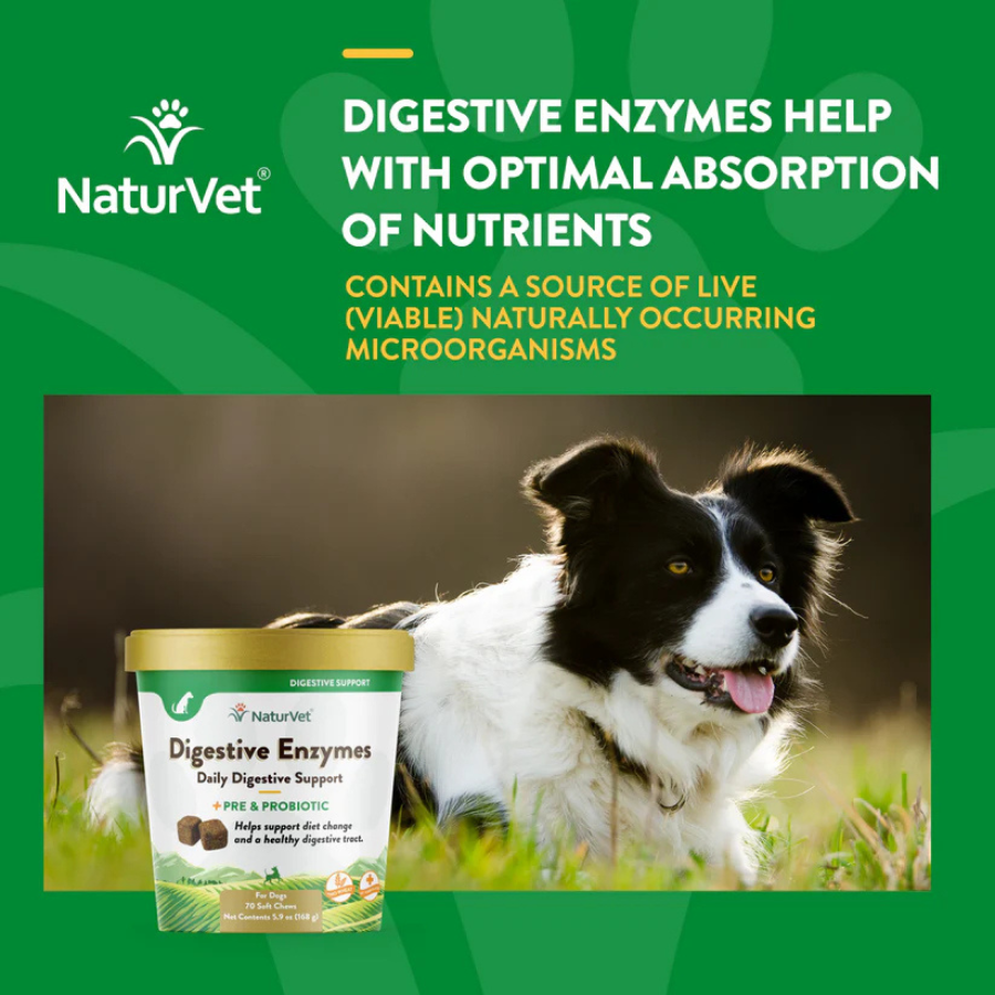 NaturVet Advanced Probiotic and Enzymes Soft Chew - 70 Chews