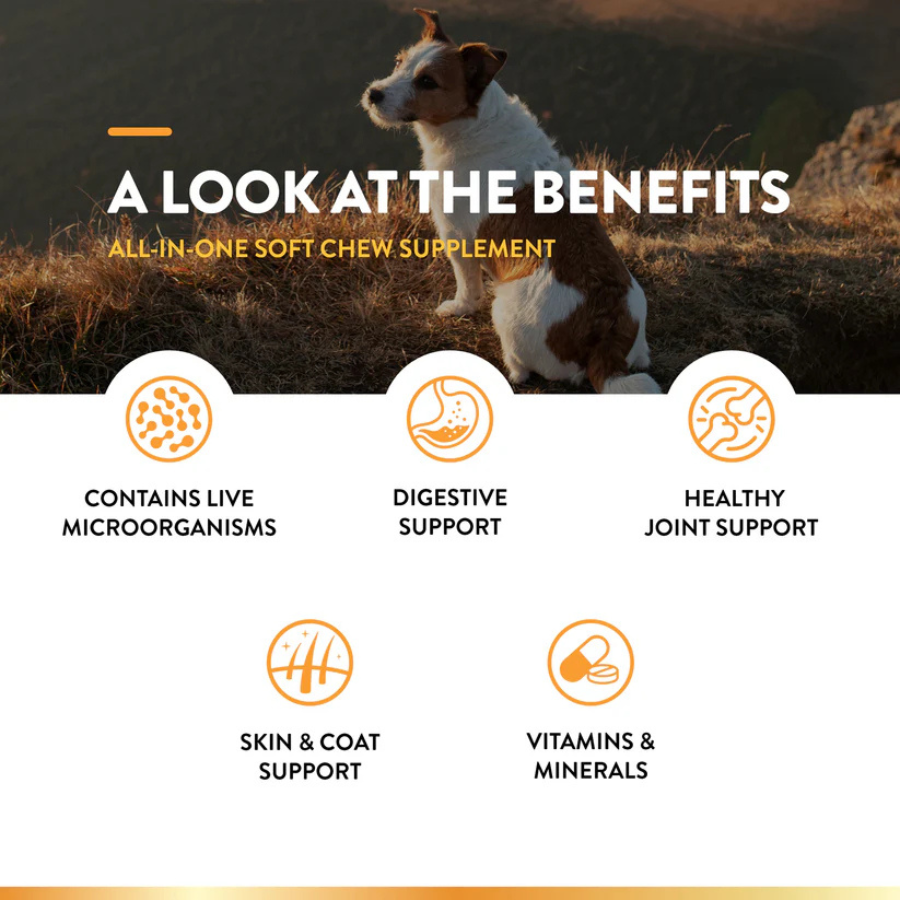 NaturVet All-In-One Supplement