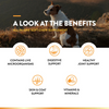 NaturVet All-In-One Supplement