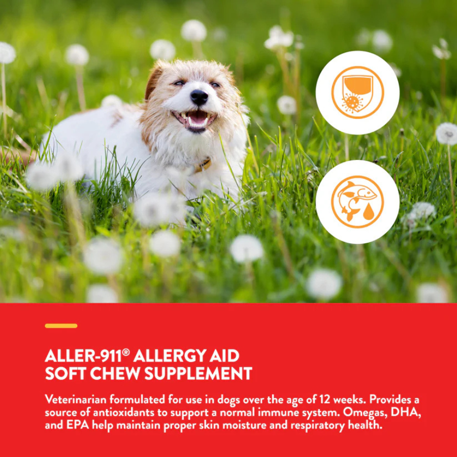 NaturVet Allergy Aid Plus Antioxidants