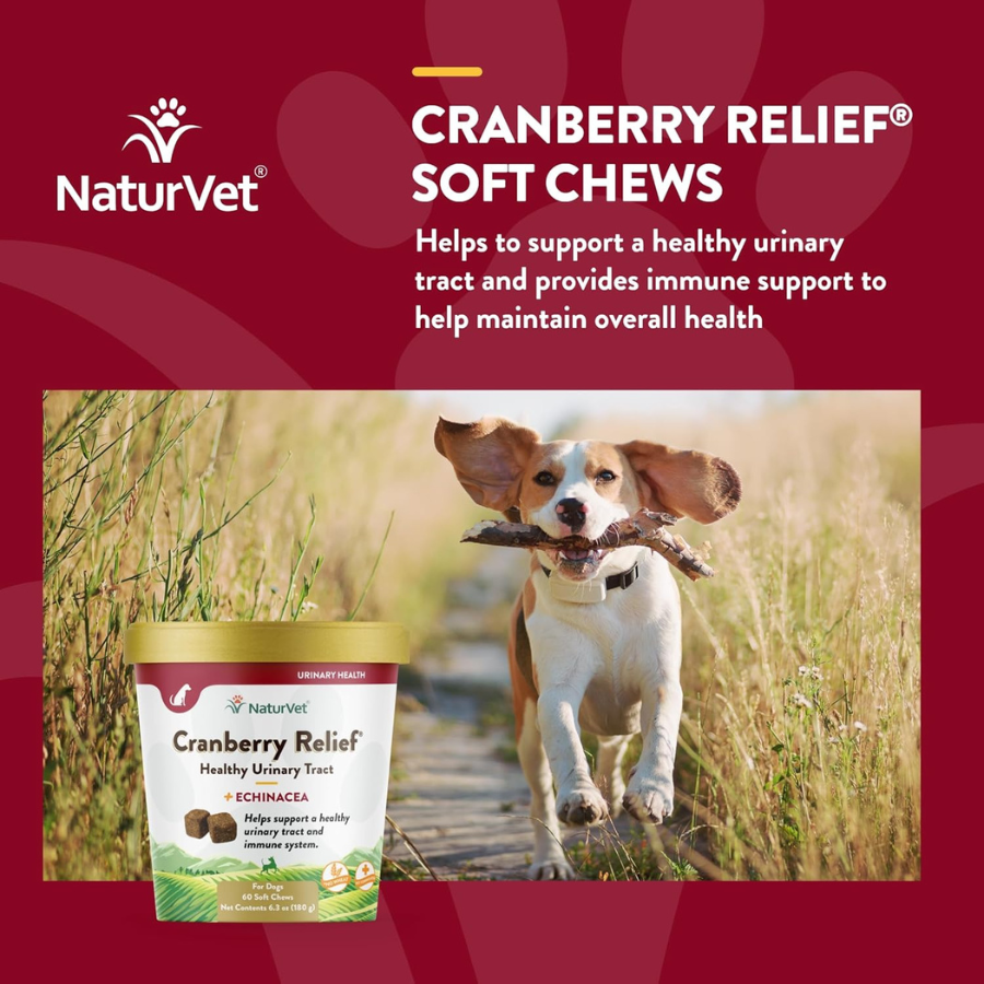 NaturVet Cranberry Relief Soft Chews - 60 Chews