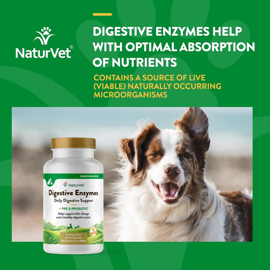 NaturVet Digestive Enzymes Plus Probiotic - 60 Tablets