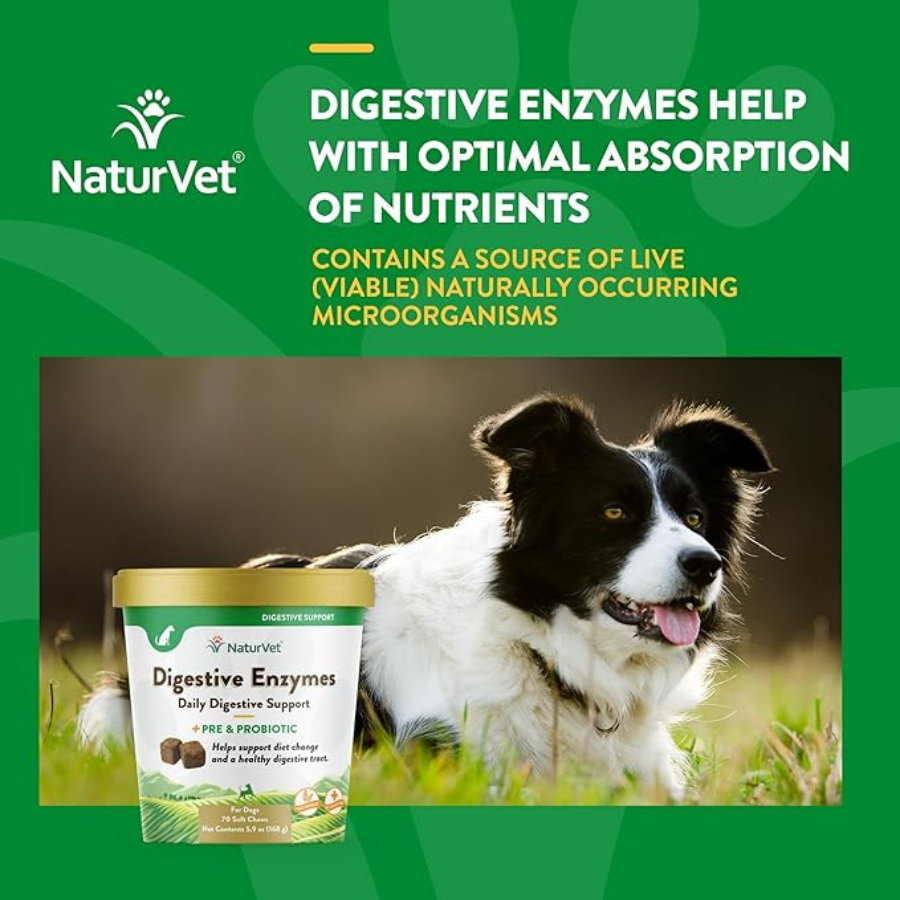 NaturVet Digestive Enzymes With Prebiotics and Probiotic - 70 Soft Chews