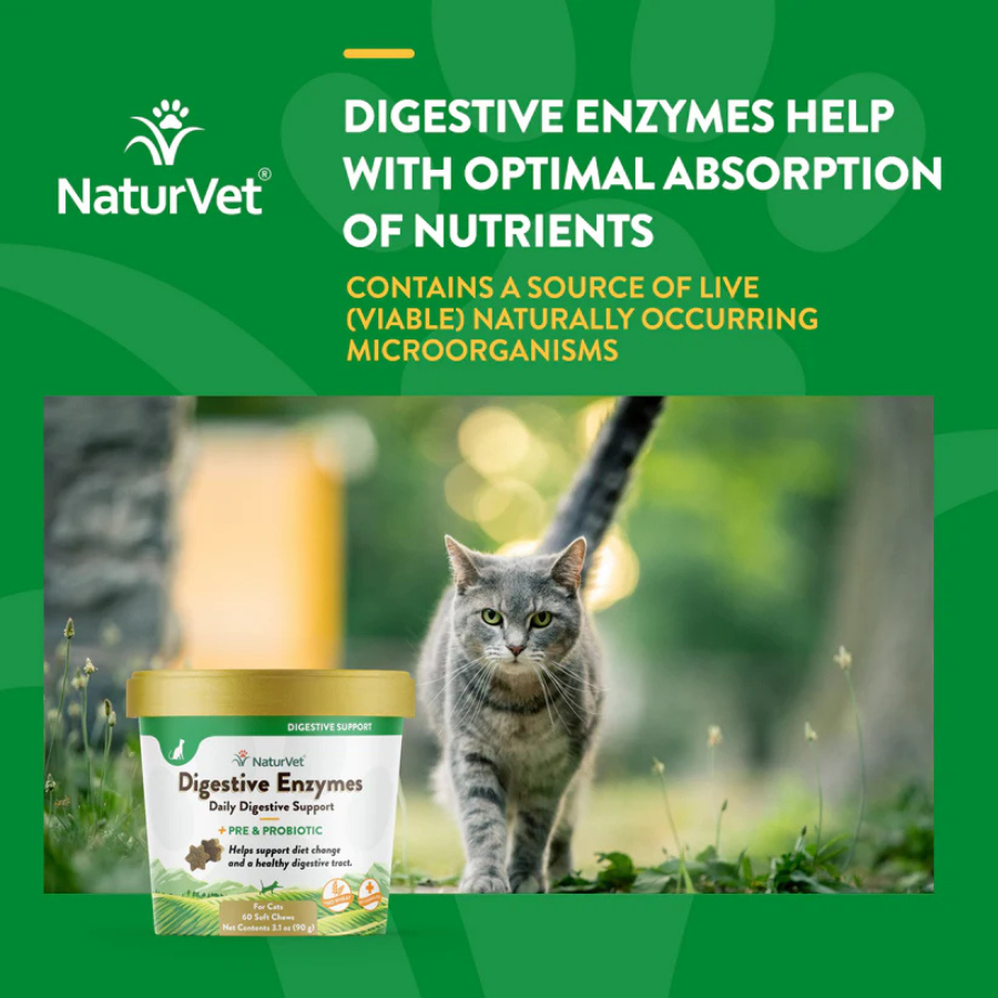 NaturVet Digestive Enzymes with Pre and Probiotics for Cats