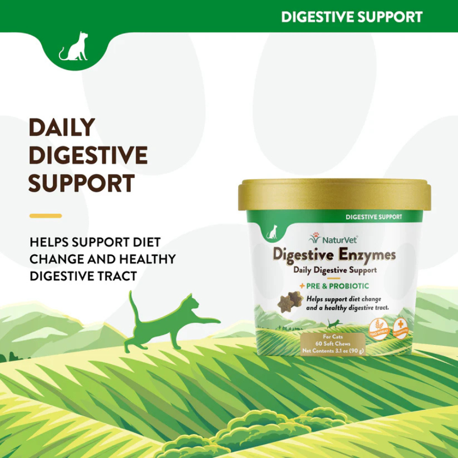 NaturVet Digestive Enzymes with Pre and Probiotics for Cats