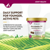 NaturVet Glucosamine DS Level 1