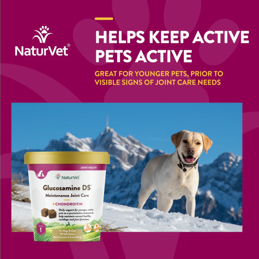 NaturVet Glucosamine DS Level 1